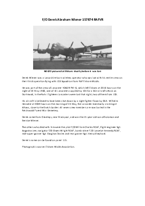 A preview of a PDF biography for Wiener, Derek Abraham